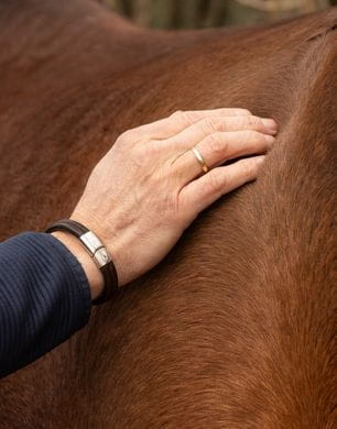 Heiko-Tympel-Pferdeergonom-Sattelergonom-Sattler-Sattelkontrolle-Sattelkauf-Osnabrueck