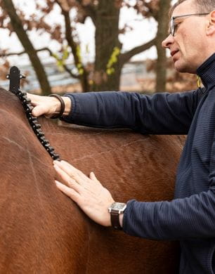 Heiko-Tympel-Pferdeergonom-Sattelergonom-Sattler-Sattelkontrolle-Sattelkauf-Magdeburg