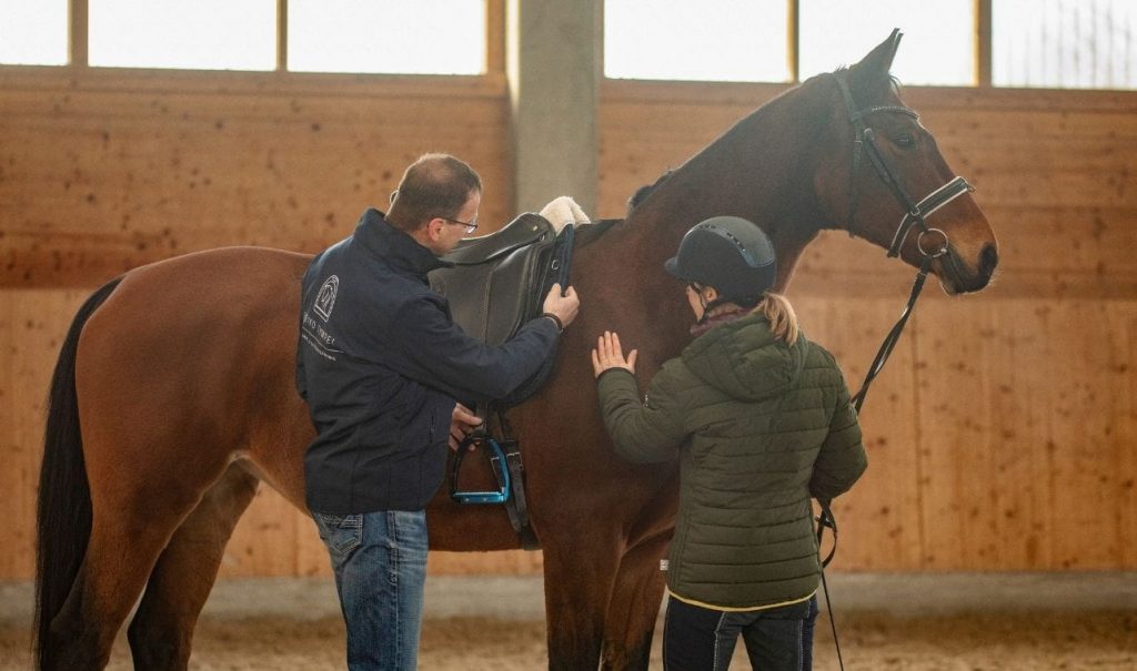 Heiko-Tympel-Pferdeergonom-Sattelergonom-Sattler-Sattelkontrolle-Sattel-Magdeburg