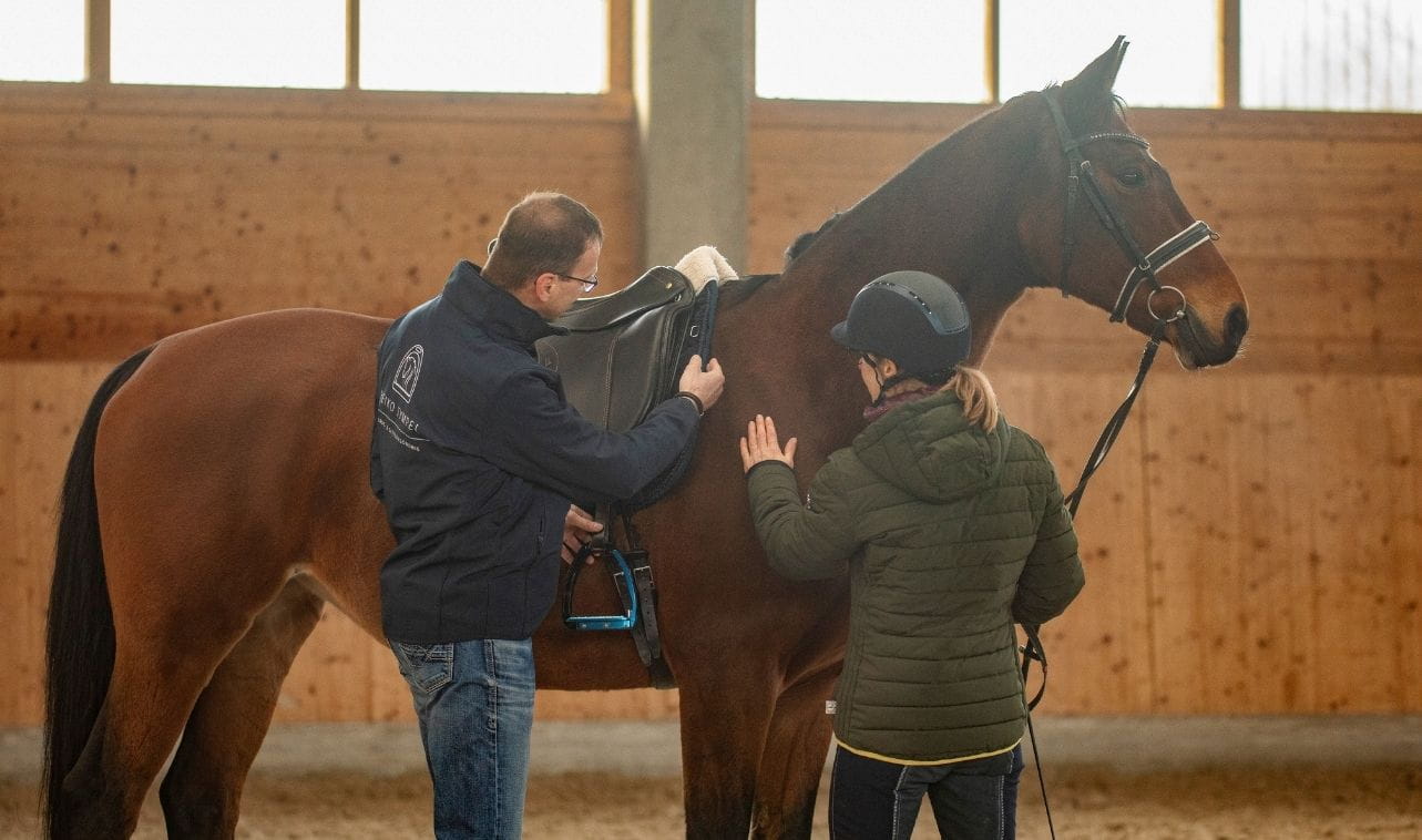 Heiko-Tympel-Pferdeergonom-Sattelergonom-Sattler-Sattelkontrolle-Sattel-Magdeburg