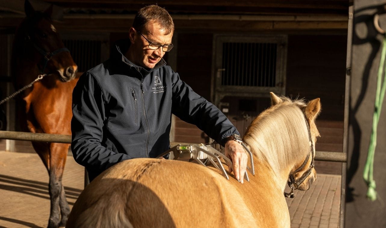 Heiko-Tympel-Pferdeergonom-Sattelergonom-Sattler-Sattelkontrolle-Sattel-Potsdam