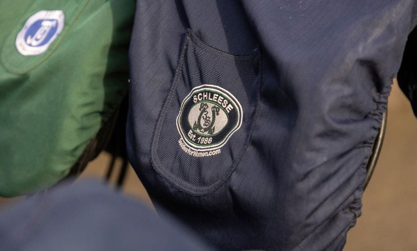 Heiko-Tympel-Pferdeergonom-Sattelergonom-Sattler-Sattelverkauf-Gifhorn