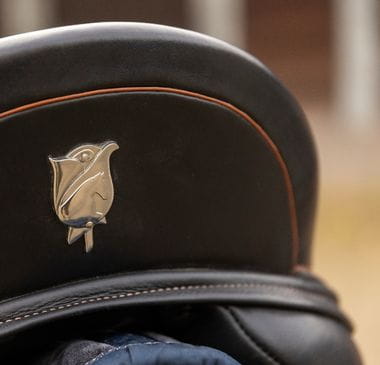 Heiko-Tympel-Pferdeergonom-Sattelergonom-Sattler-Sattelkauf-Braunschweig